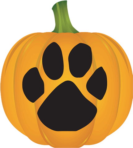 Paw Print Pumpkin - Paw Print Jack O Lantern (500x497), Png Download