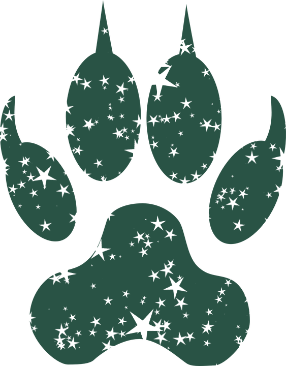Footstep-159262 960 720bbb - Wolf Paw Print Transparent (563x720), Png Download