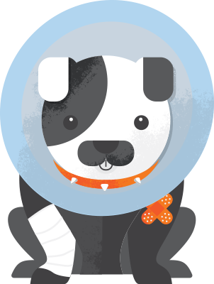 Dog Insurance - Pet Insurance Clipart (302x400), Png Download