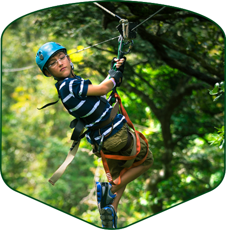 Canopy Tour On Zip Line - Pattaya (462x471), Png Download