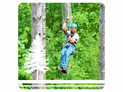Co-owner Northwoods Zip Line - Rainforest (400x300), Png Download