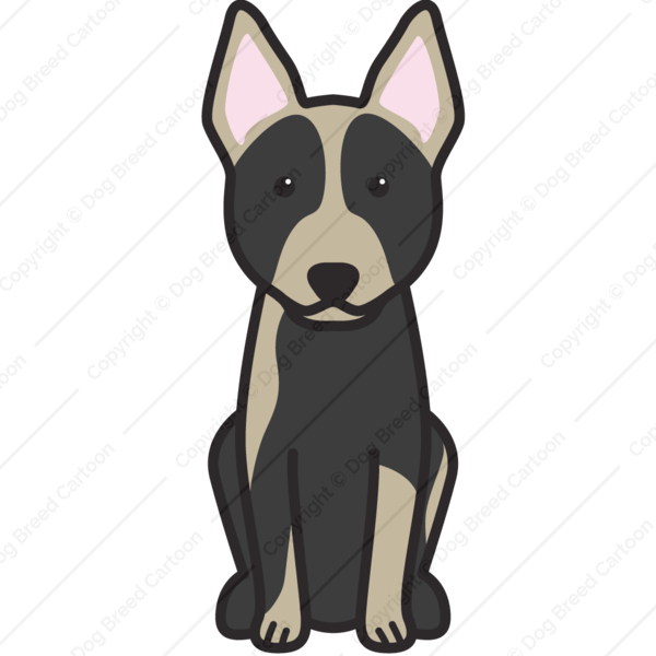 Australian Cattle Dog Cartoon - Australischer Vieh-hundecartoon Karte (600x600), Png Download