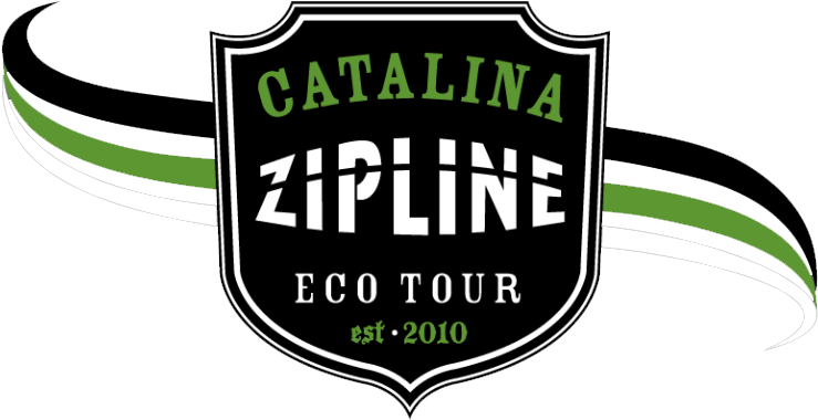 Catalina-logo - Zip Line Eco Tour (763x408), Png Download