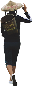 Fashion Model (253x480), Png Download