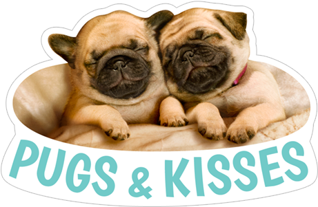 Pugs&kisses Cute Dogs Pugs - Sleepy Pugs (490x317), Png Download