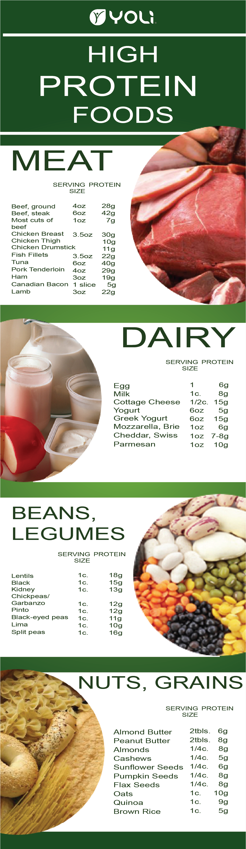 1,605×3,600 Pixels - Cooking With Beans And Legumes: Simple Recipes D Legumes (1605x3600), Png Download