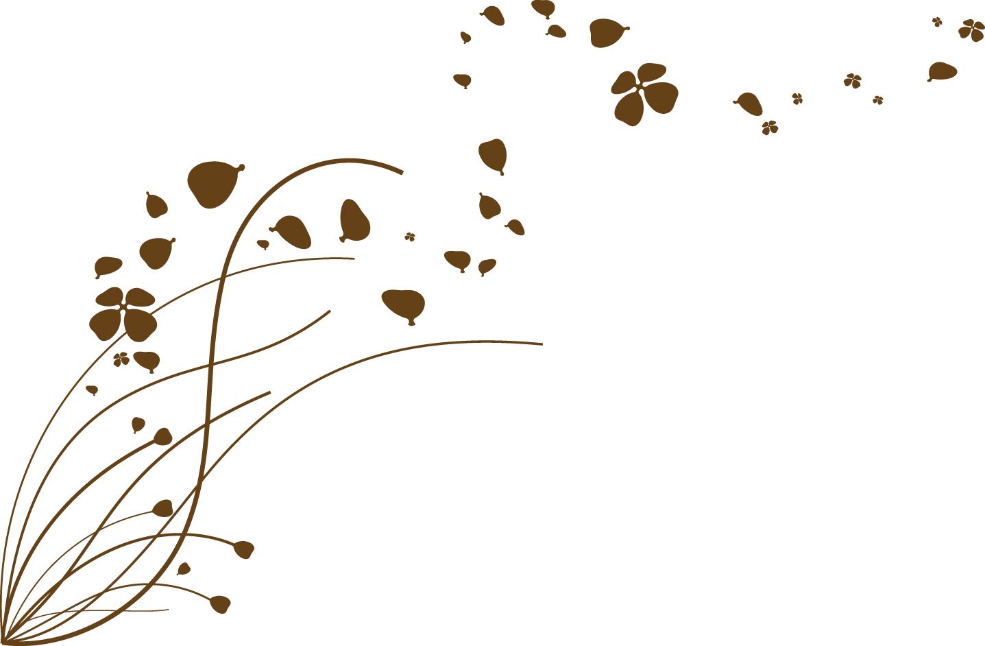 Published March 19, 2015 At - Png Floral Branco (1437x942), Png Download