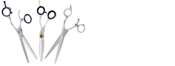 Cta Sensei Shears Home Page For Blog - Blog (600x230), Png Download