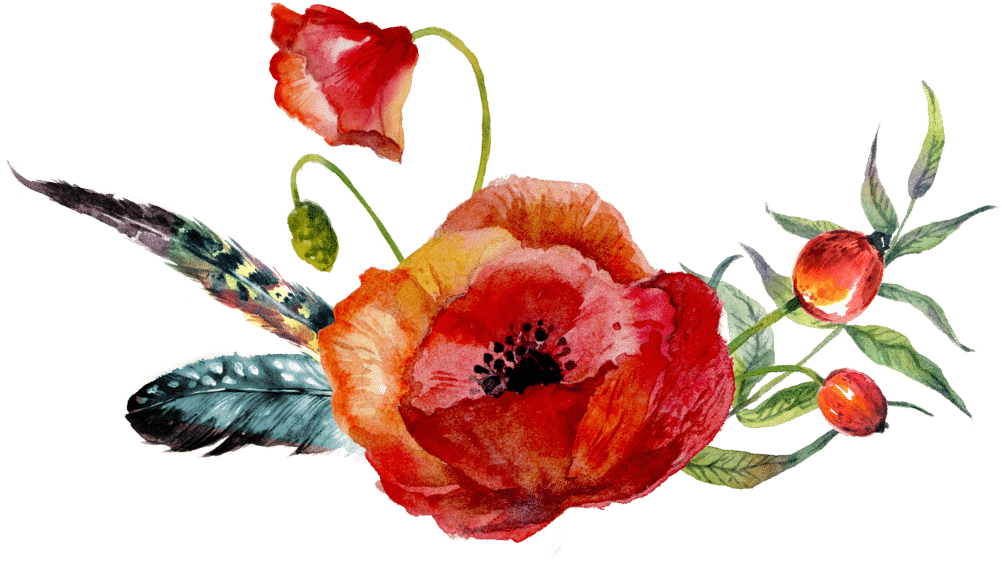 Flower Clipart Watercolor Painting Poppy Drawing Watercolour - Poppy Flower Watercolor Png (1002x565), Png Download