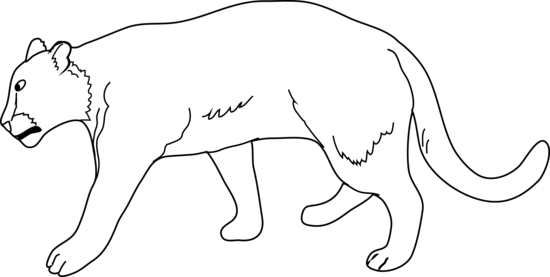White Lion Clipart Mammal - Lioness Clipart Black And White (550x277), Png Download