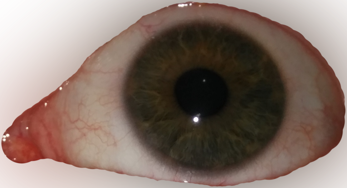 8796667 - >> - Close-up (1111x602), Png Download