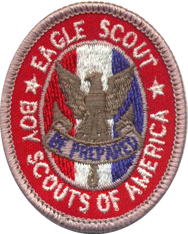 Eagle Is The Highest Rank That Can Be Earned By A Scout - My Honor: Why The American Values For [book] (800x999), Png Download