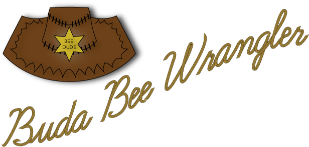 Buda Bee Wrangler Logo - Buda Bee Wrangler (650x319), Png Download