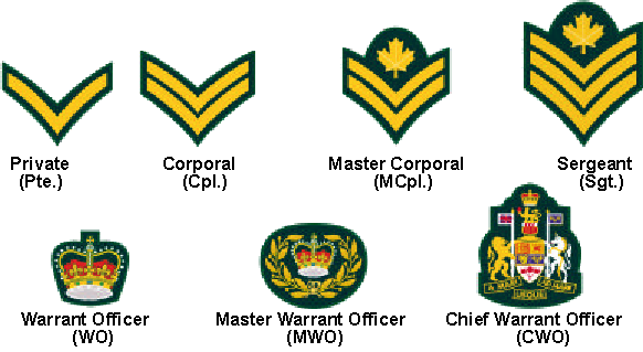 Armycadetranks - Army Cadet Ranks Canada (582x319), Png Download