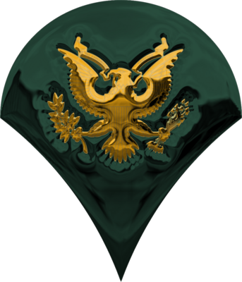 Army Rank Spc - Chrome Us Army Ranks (343x400), Png Download