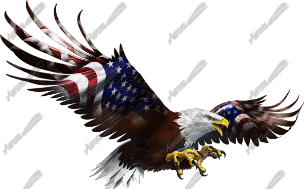 American Eagle Flight Side - Flight Of The Eagle (600x373), Png Download