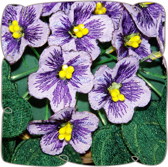 Purple Fabric African Violets - African Violets (580x580), Png Download