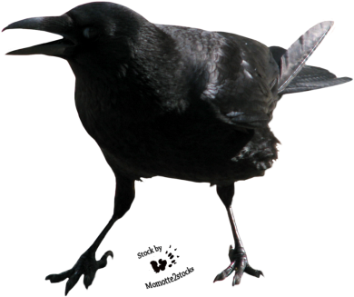 Crow - Crow Screaming Png (404x360), Png Download