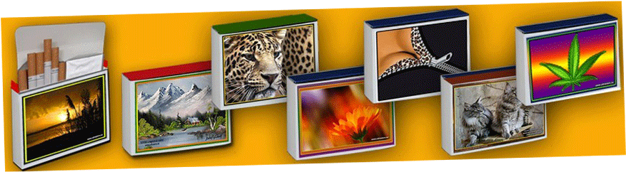 Case - Cigarette Box - Case - Cigarette Box - Illustration (980x980), Png Download