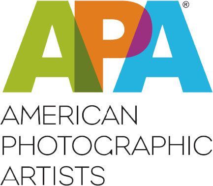 Apa Logo National - Chanel Logo With Color (432x389), Png Download