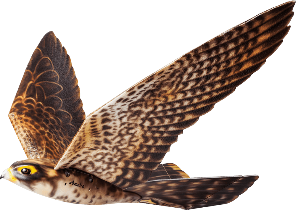 Do You Think This Is A Bird No - Robird Clear Flight Solutions (1000x710), Png Download