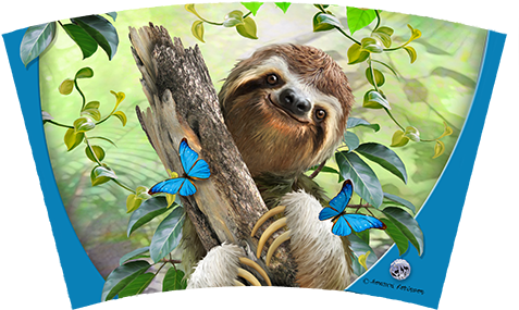 Sloth - Tree-free Greetings Eco Coasters Box Set Selfie (ec96903) (500x353), Png Download