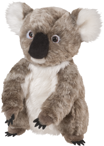 Douglas Aussie Koala (510x510), Png Download