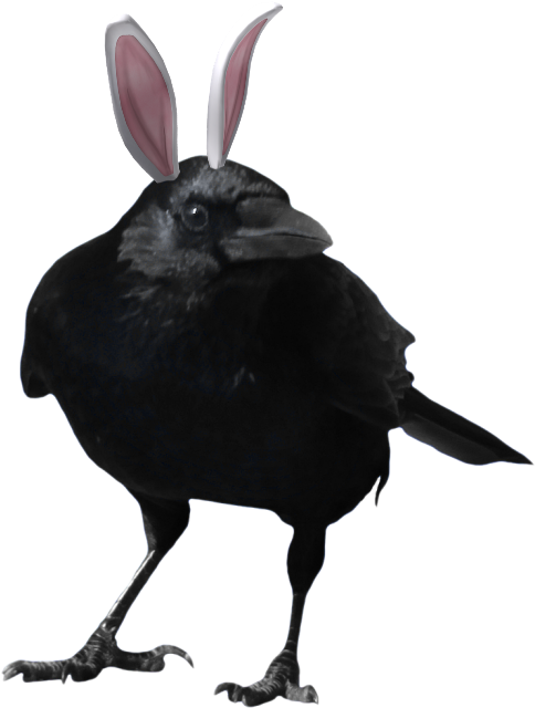 Post - Dc Titans Raven (524x683), Png Download