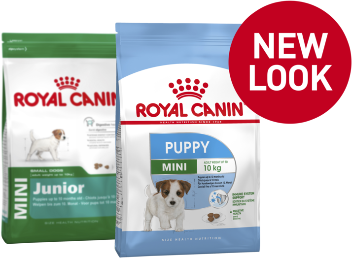 Mini Puppy - Royal Canin Junior Mini (747x747), Png Download