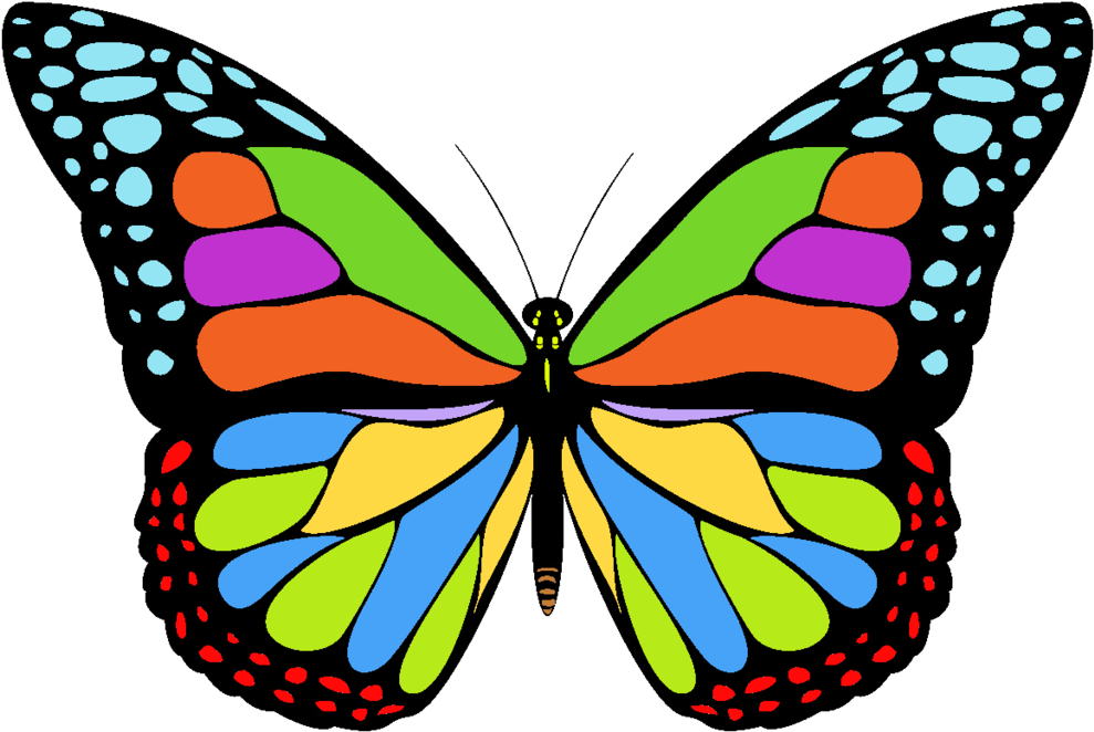 Free Icons Png - Coloring Image Of Butterfly (1024x1024), Png Download