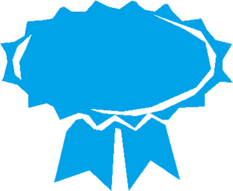 Ribbon Award Logo Prize Rosette - Azul Clipart Imagem De Medalha Azul Png (911x750), Png Download