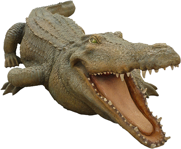 Crocodile Free Png Transparent Background Images Free - Philippine Crocodile Png (640x640), Png Download