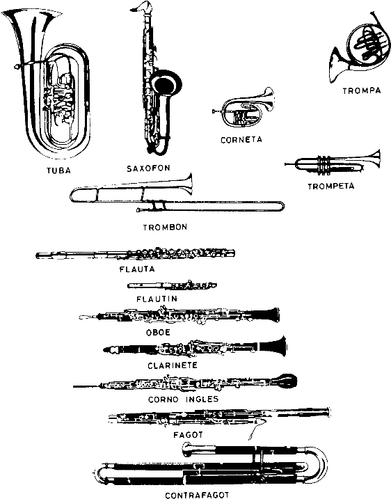 Image006 - Brass Instrument (613x757), Png Download