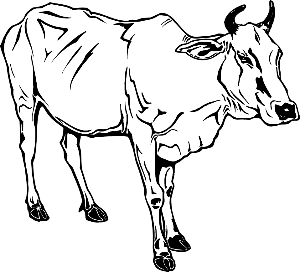 Cow Clipart Black And White - 牛 牽 到 北京 還是 牛 (958x869), Png Download