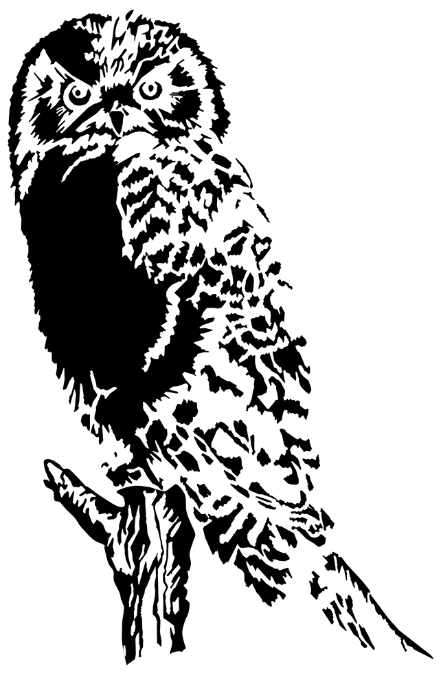 Drawing Of Owl Black White Png, Great Horned Owl - Owl Silhouette (642x1004), Png Download