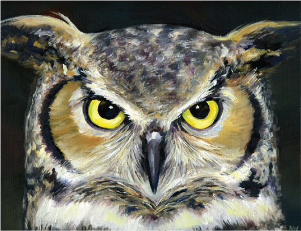 Owl Eyes Print (612x612), Png Download