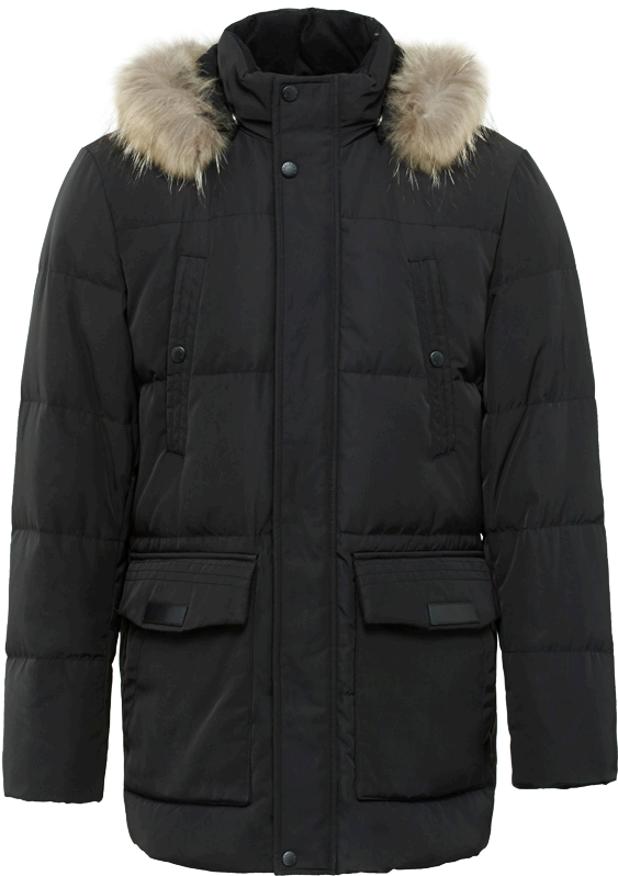 Warm Coat Transparent Background Png - Stone Island Puffy Jacket (800x800), Png Download