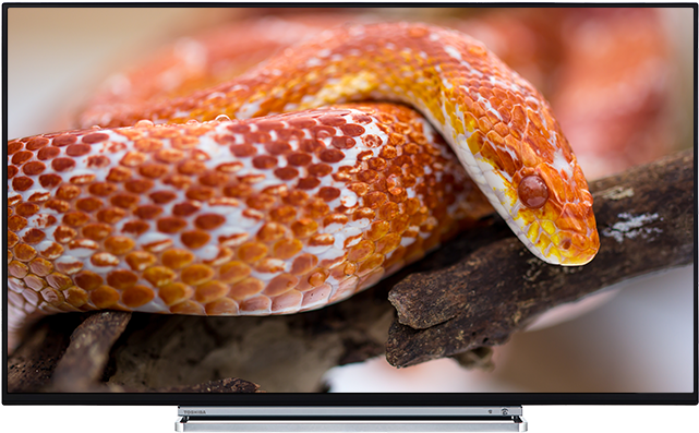 55" Toshiba Ultra Hd Tv Front - Узорчатый Маисовый Полоз (640x640), Png Download