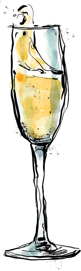 Champagne (614x1240), Png Download