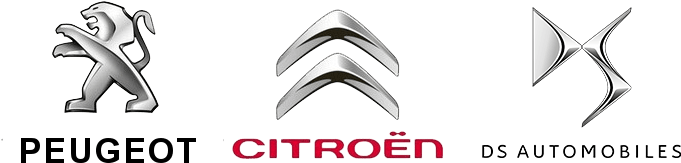 Peugeot Citroen Ds Logo 5 By Anthony - Citroën Logo Peugeot Logo (694x185), Png Download