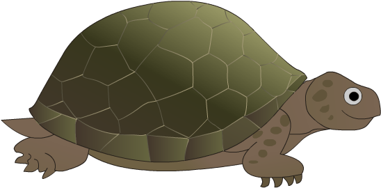 Inshare - Desert Tortoise (575x400), Png Download