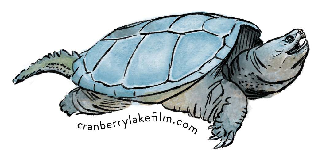 Cranberry Lake Stickers Designed By Zoya Baker Yellow - Cranberry Lake, New York (1078x1078), Png Download
