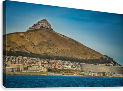 Lions Head Wih Stadium Canvas Print - Stadium (429x318), Png Download
