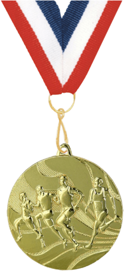 Free Png Gold Medal Png Images Transparent - Medal Ribbons (480x549), Png Download