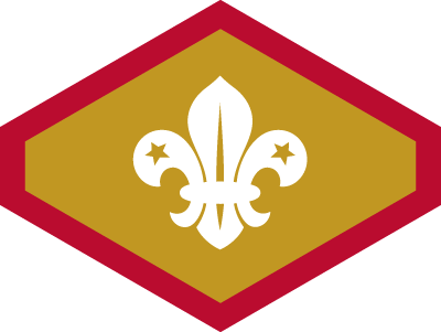 Published 1st July 2018 At 400 × 301 In - Chief Scout Bronze Award (400x301), Png Download