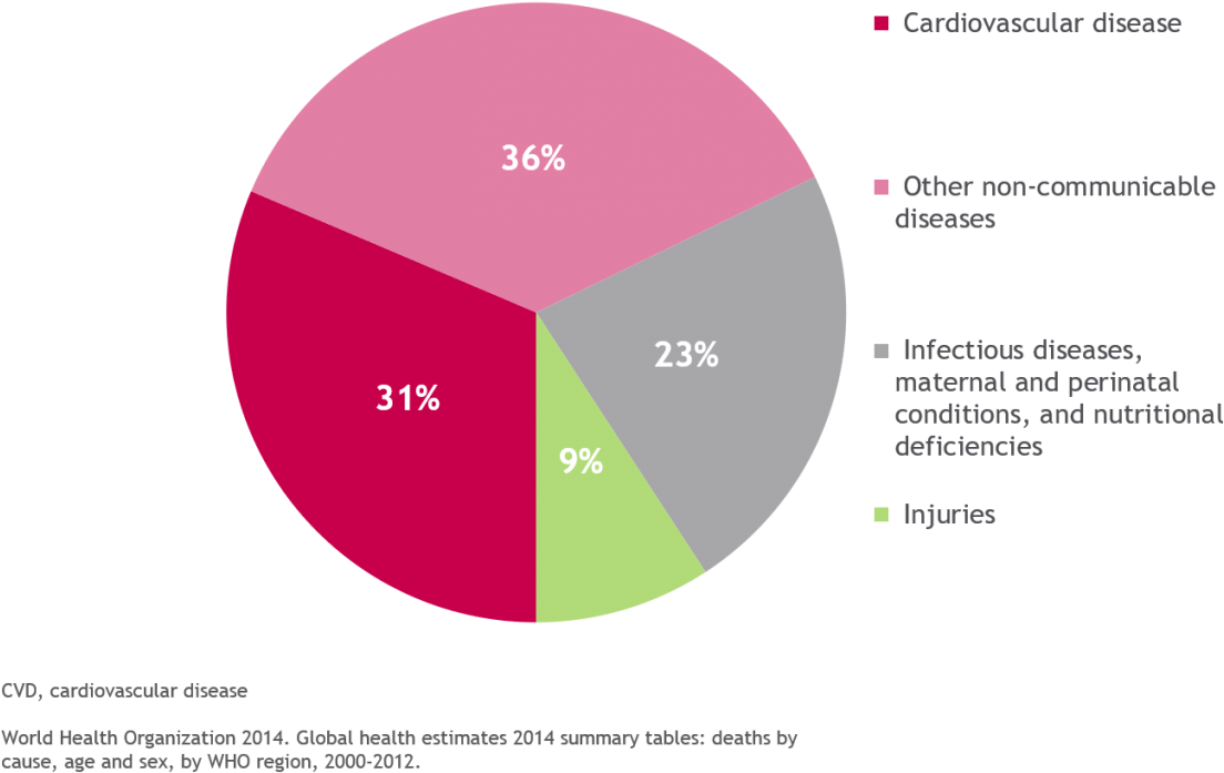 Cardiovascular Disease Is A Major Cause Of Death Worldwide - Tenecteplase (1200x725), Png Download
