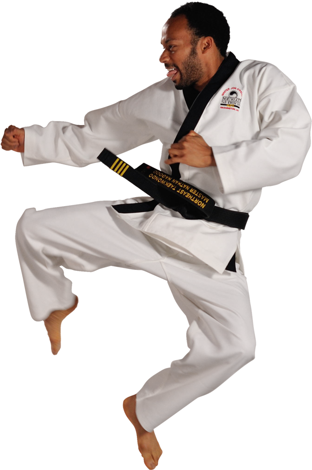 1455833111651 - Northeast Taekwondo (956x956), Png Download