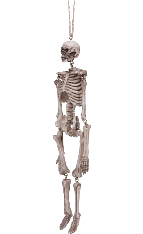 Hanging Skeleton Statue - Skeleton (761x761), Png Download