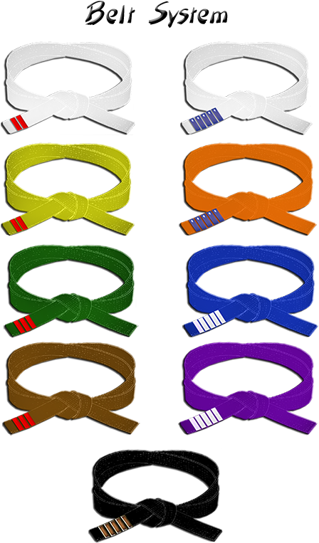 When Japan Was A Very Poor Country, And Dying The Belts - Traditional Tang Soo Do Volume 1 The Essence By Jae (474x800), Png Download