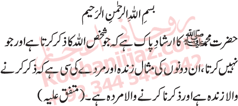 Urdu (560x267), Png Download